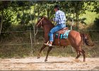 MP Stable50